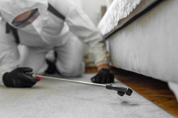 Professional Cockroach Control technician working in Linden, NJ