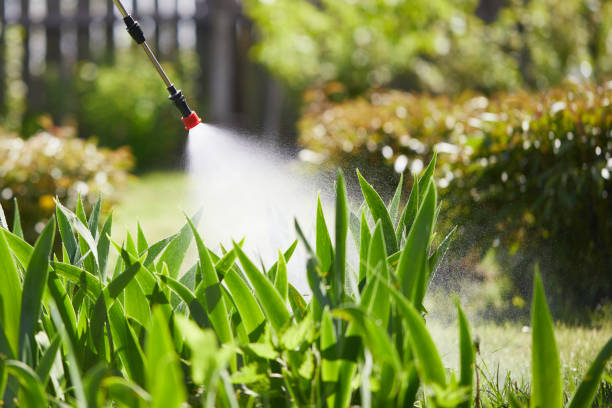 24/7 Emergency Cockroach Control experts in Linden, NJ