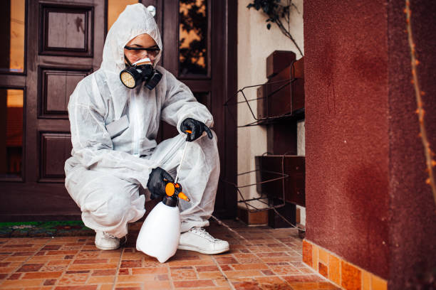 Reliable Cockroach Control contractor in Linden, NJ by Nex Pest Control